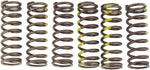 Pro Circuit Clutch Spring Set - Suzuki RMZ450 2005-2019