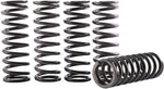 Hinson Clutch Spring Kit For Yamaha WRF450 2024-2025