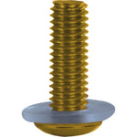 Oxford Screen Screw Kit