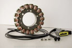 Ricks Stator - Yamaha TDM900 2002-08