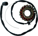 Ricks Stator - Kawasaki ZX-12 R Ninja 2002-03