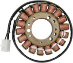 Ricks Stator - Triumph Sprint 966 RS 2002-04, Tiger 955 I 2001-06