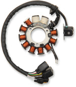 Ricks Stator - Polaris Edge 600 2002-06