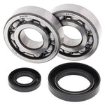 All Balls Crank Bearing And Seal Kit - Honda CR250 1992-2007