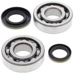 All Balls Crank Bearing & Seal Kit - Suzuki RM250 2003-04