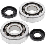 All Balls Crank Bearing & Seal Kit - Kawasaki KX250 2002-07