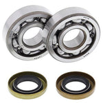 All Balls Crank Bearing & Seal Kit - KTM SX 60/65 1998-2008, Husqvarna CR65 2012