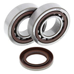 All Balls Crank Bearing & Seal Kit - KTM EXC400 2000-06, EXC450/525 2003-07, SX450/525 2003-06