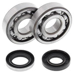 All Balls Crank Bearing & Seal Kit - Husqvarna CR250 1993-98, WR250 1998, WR360 1998-2002