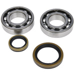 All Balls Crank Bearing And Seal Kit - Beta Evo 4T 250-300 2009-21