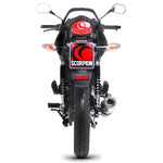 Scorpion Factory Carbon Oval Exhaust Carbon Outlet Honda CBF 125 Full System 08>Current