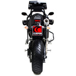 Scorpion Factory Carbon Oval Exhaust - Triumph Tiger 1050 2007 - 2012